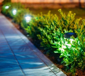 glowing-pathlights-in-hedge-along-walkway-1 glowing-pathlights-in-hedge-along-walkway-1